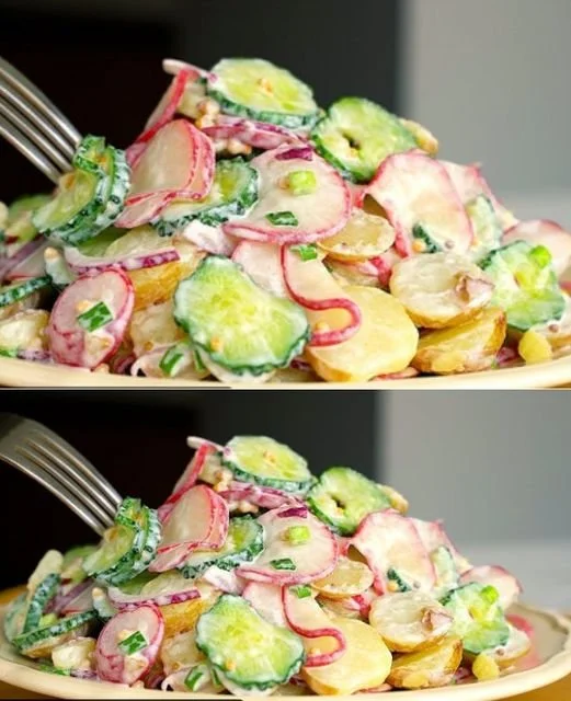 Verse komkommersalade met kruiden en dressing